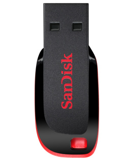 SanDisk 16GB Cruzer Blade USB 2.0 Flash Drive